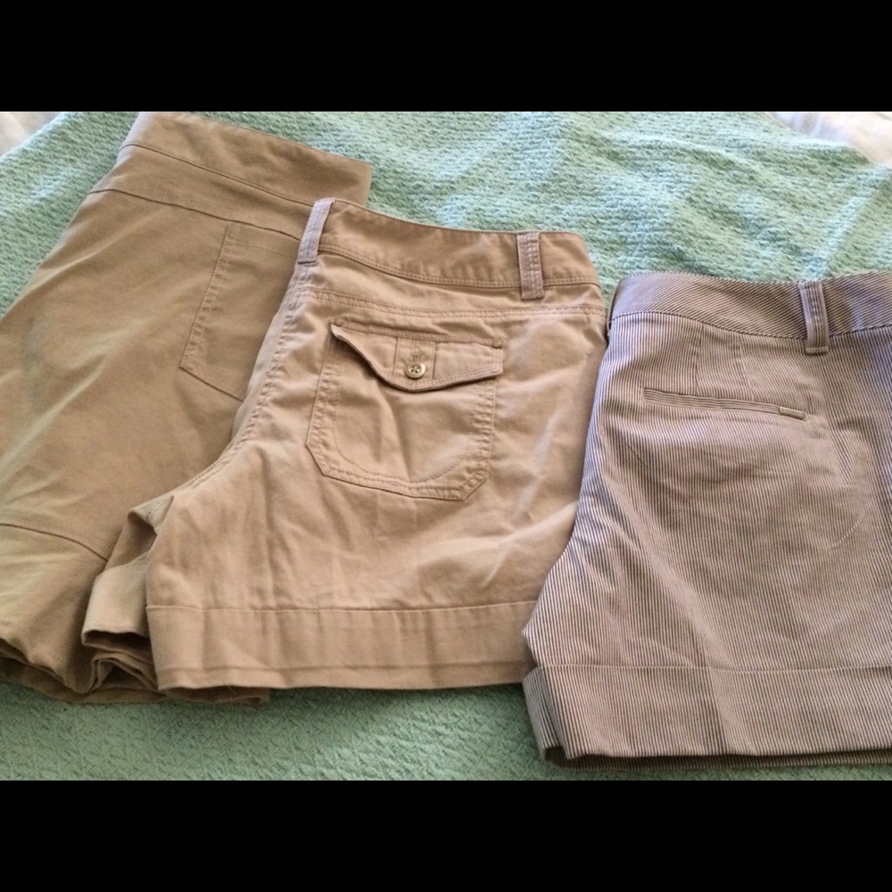 White House Black Market Shorts Bundle